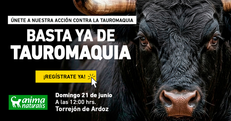 ¡Torrejón de Ardoz: escenario de la próxima protesta contra la tauromaquia!