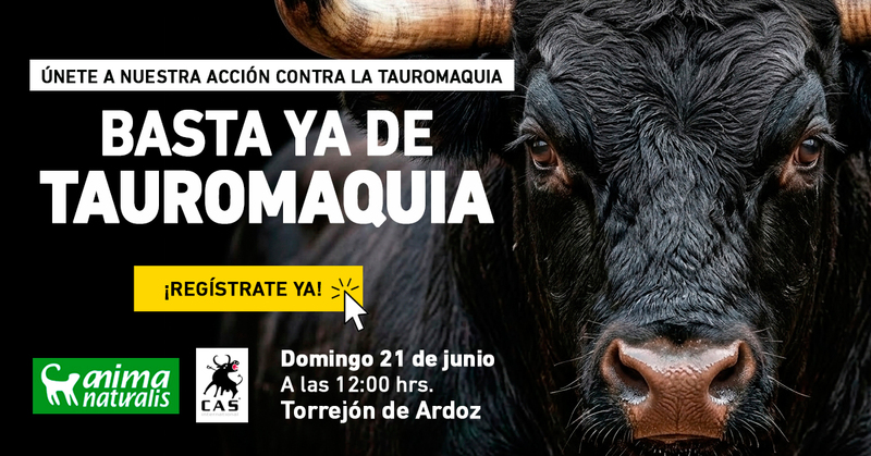 ¡Torrejón de Ardoz: escenario de la próxima protesta contra la tauromaquia!