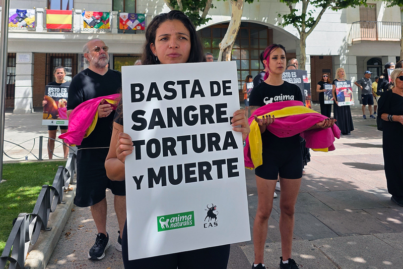 En Torrejón de Ardoz se matan toros con fondos municipales y nadie ha explicado cuánto vale cada tarde en la plaza