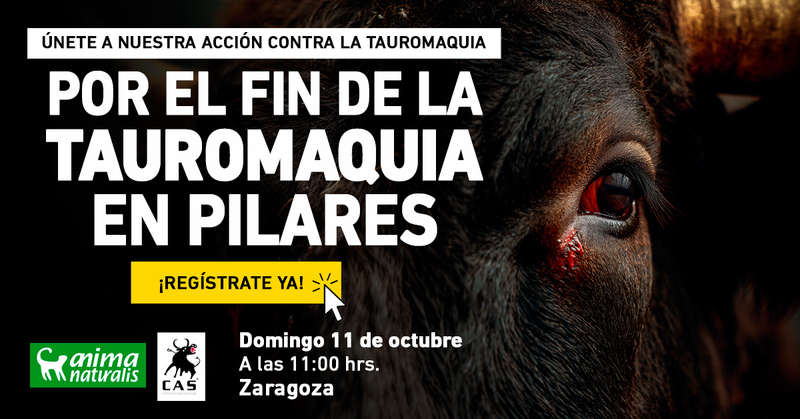 ¡Concentración antitaurina durante las Fiestas de Pilares!