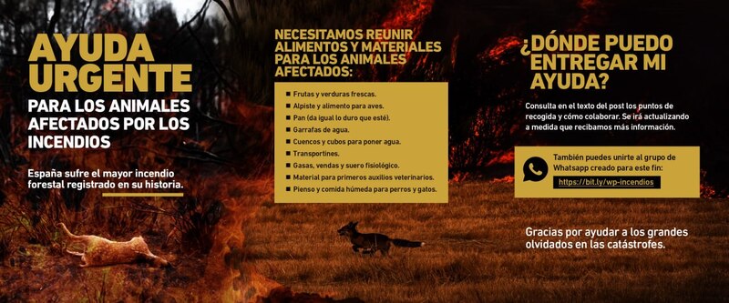 Urgente: Red solidaria para ayudar a los animales afectados por el mayor incendio forestal registrado en la historia de España