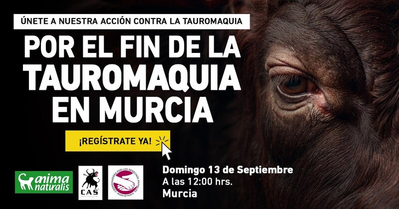 ¡Murcia se planta frente a la tauromaquia!