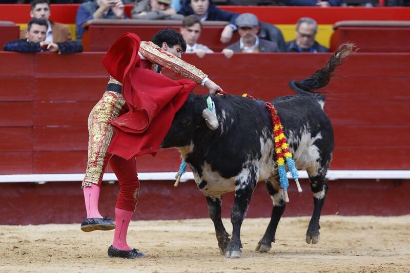 Denunciamos abusos durante eventos de becerradas en varias ciudades españolas este verano