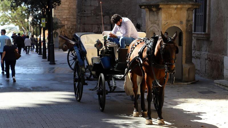 Palma repite la promesa de retirar los caballos de las calesas