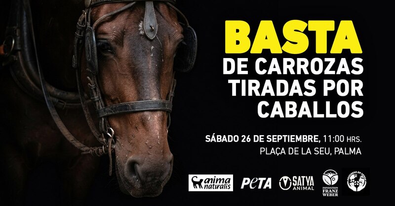 ¡Basta de galeras en Palma! ¡Ven a protestar! 