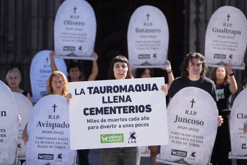 Recordamos los toros muertos durante las corridas de toros y repartimos caldereta 100% vegetal en San Mateo