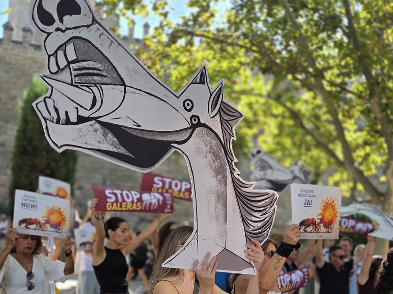 Cuatro años después, Palma sigue sin fecha para cumplir la promesa de acabar con las calesas tiradas por caballos