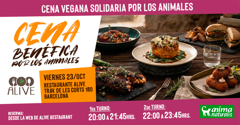¡Ven a disfrutar de una deliciosa cena benéfica en Alive Restaurant!