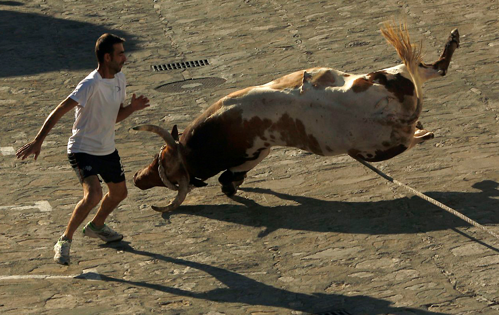 Toro de cuerda