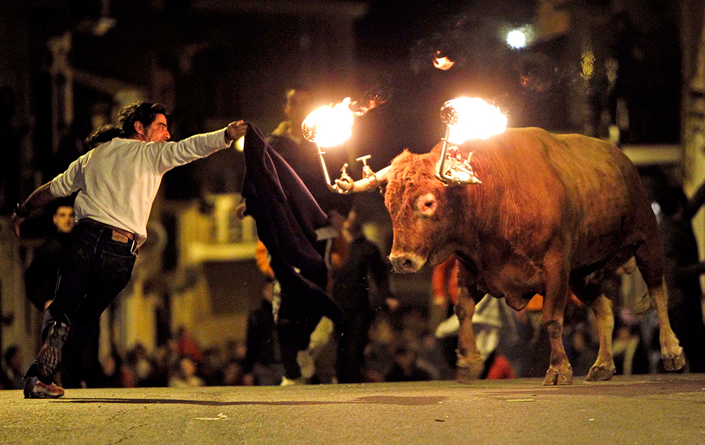 Toros embolados