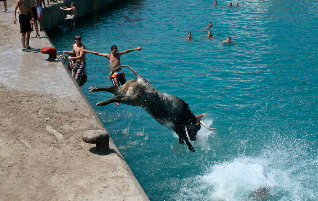 Toros a la mar