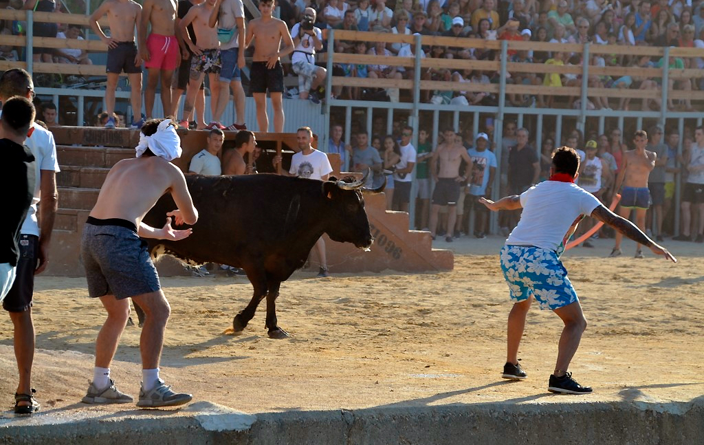 Toros a la plaza